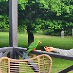 Daylesford - Frog Hollow Estate - The Homestead (Adults Only)