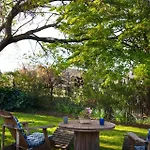 The Acorn