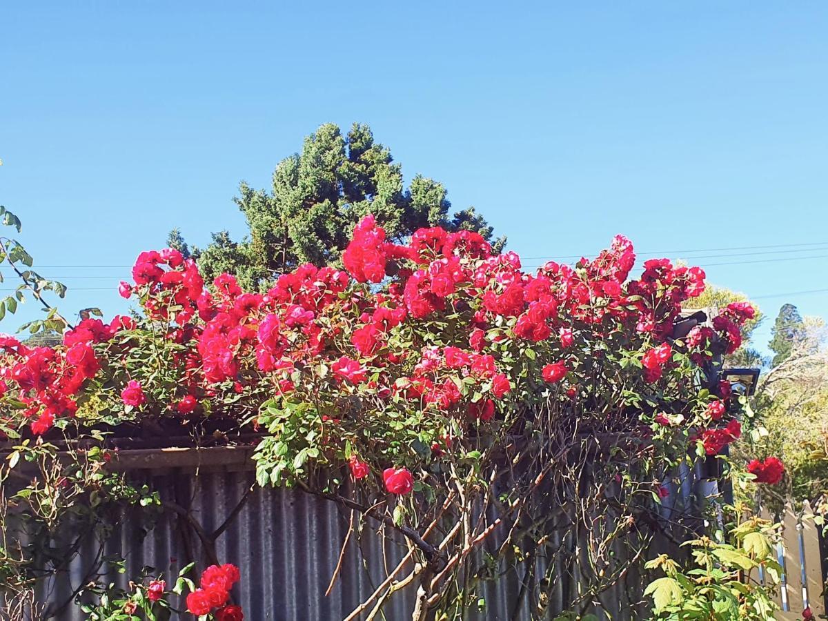 A Very Quiet Abelia Botanical 10 Min Walk Town Holiday home