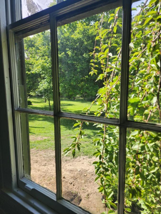 - Frog Hollow Estate - The Homestead (adults Only)