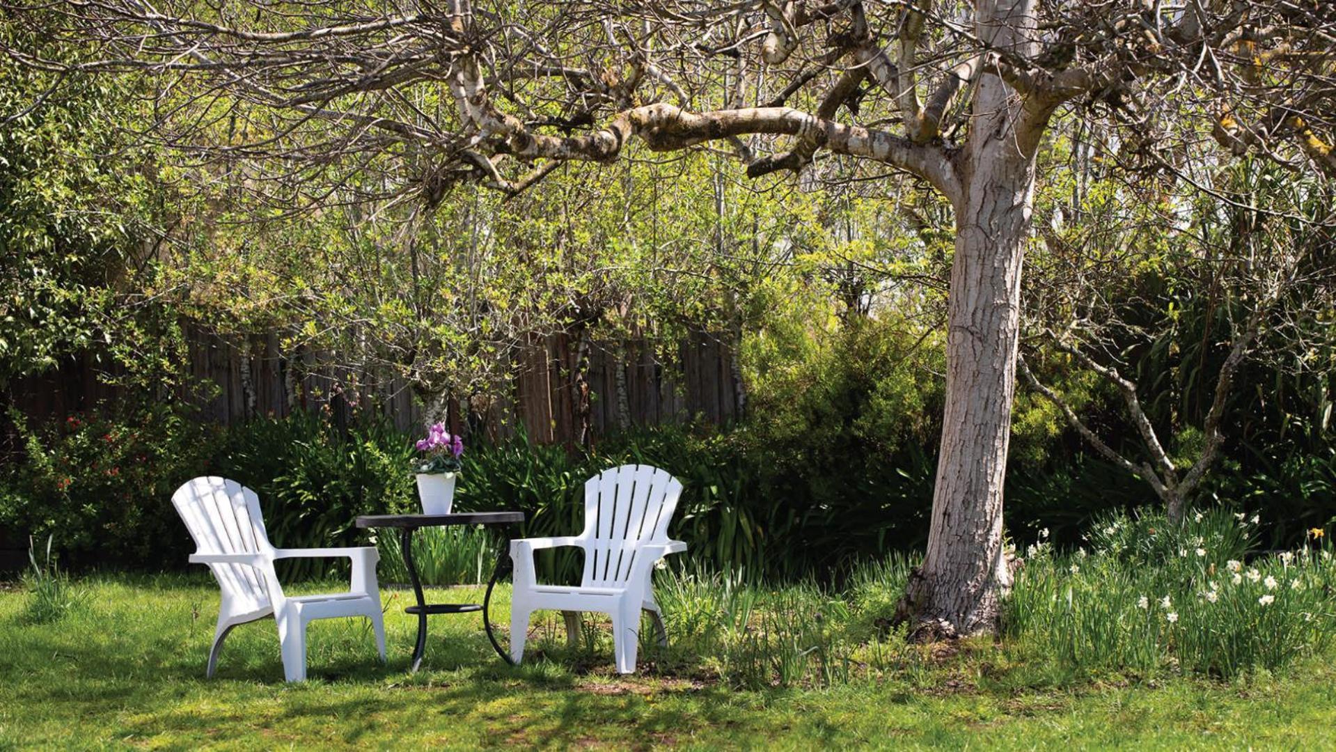 The Garden