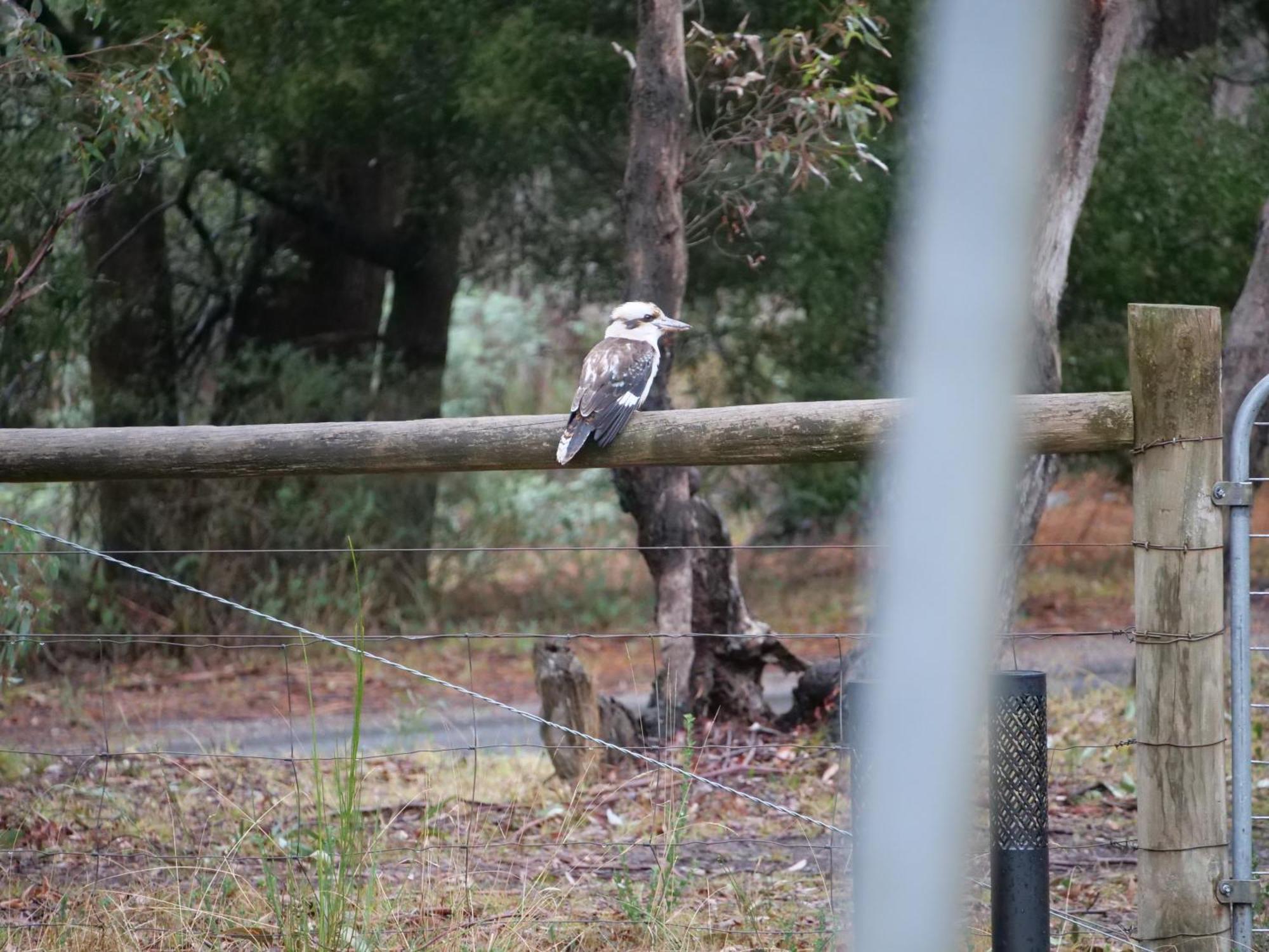 Kookaburra Retreat