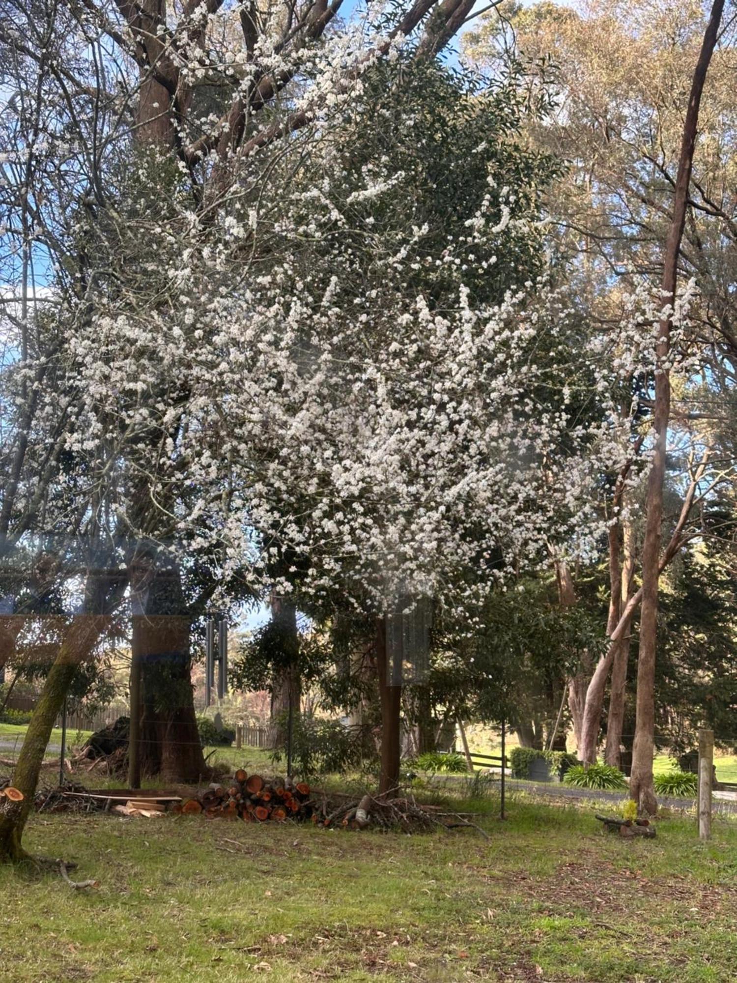Holiday home Kookaburra Retreat Daylesford