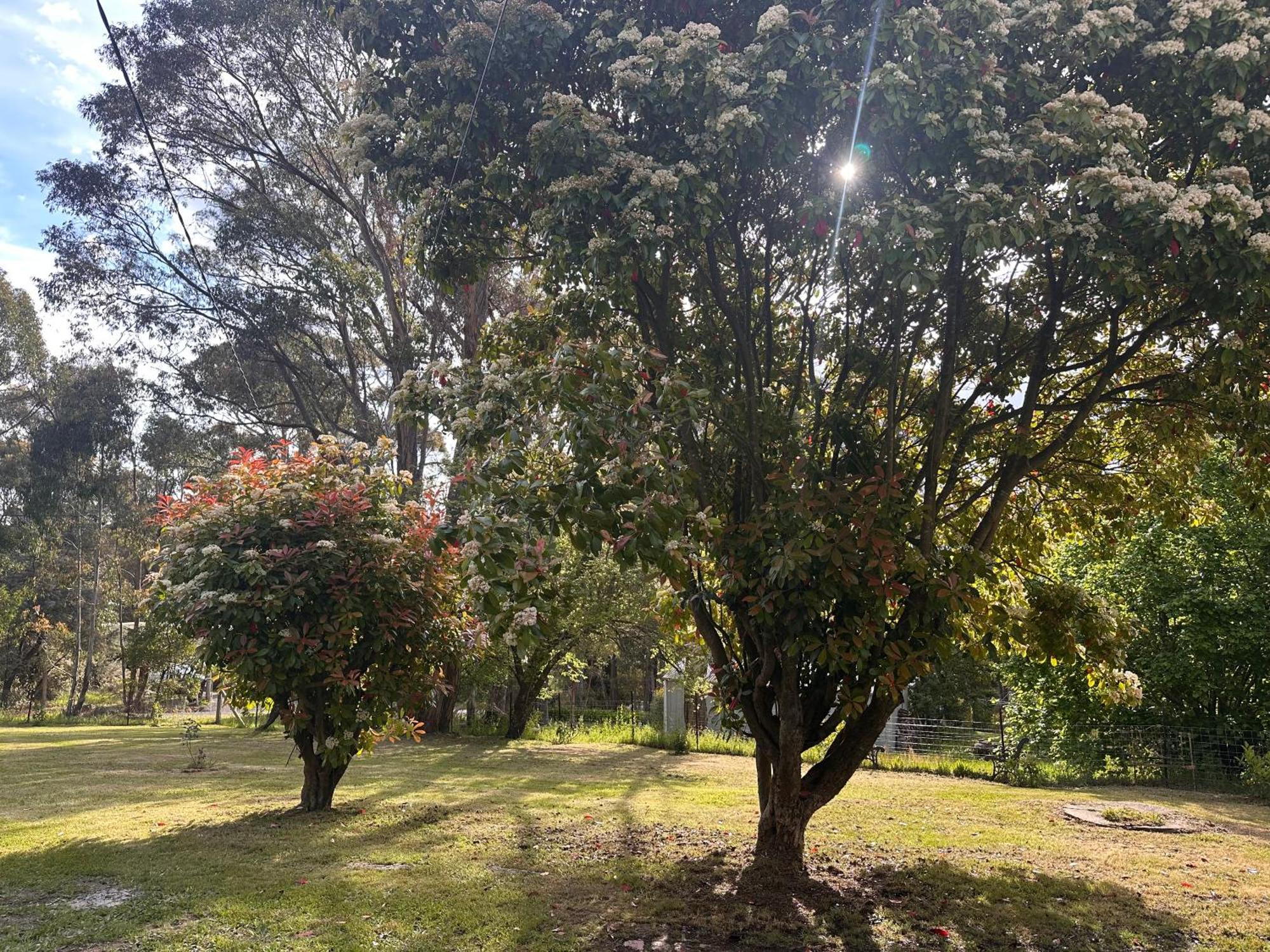 Kookaburra Retreat Holiday home *
