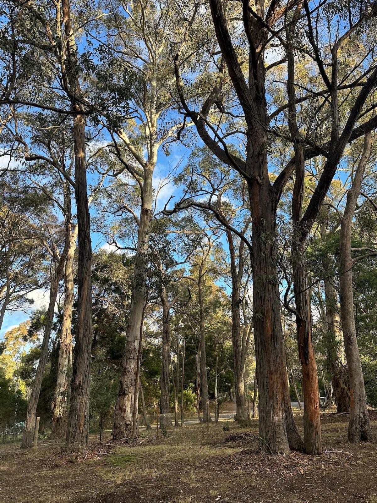 Holiday home Kookaburra Retreat