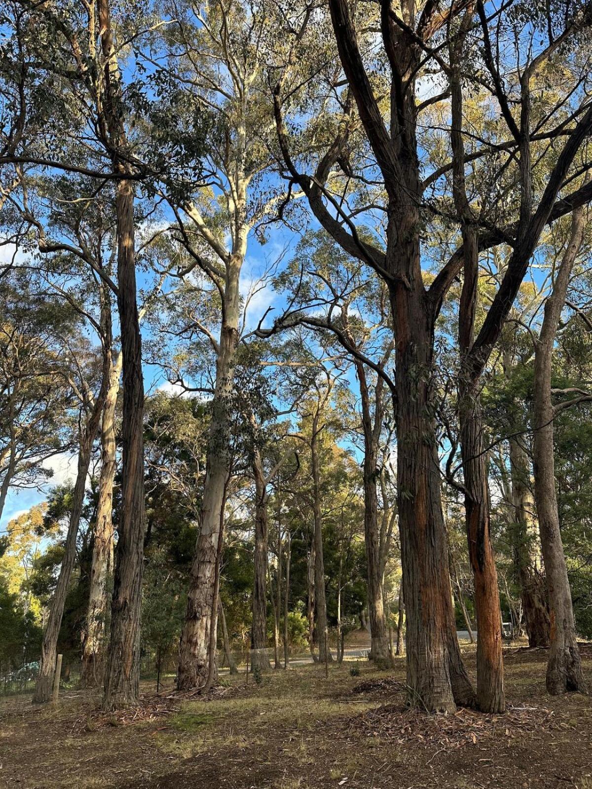 Kookaburra Retreat