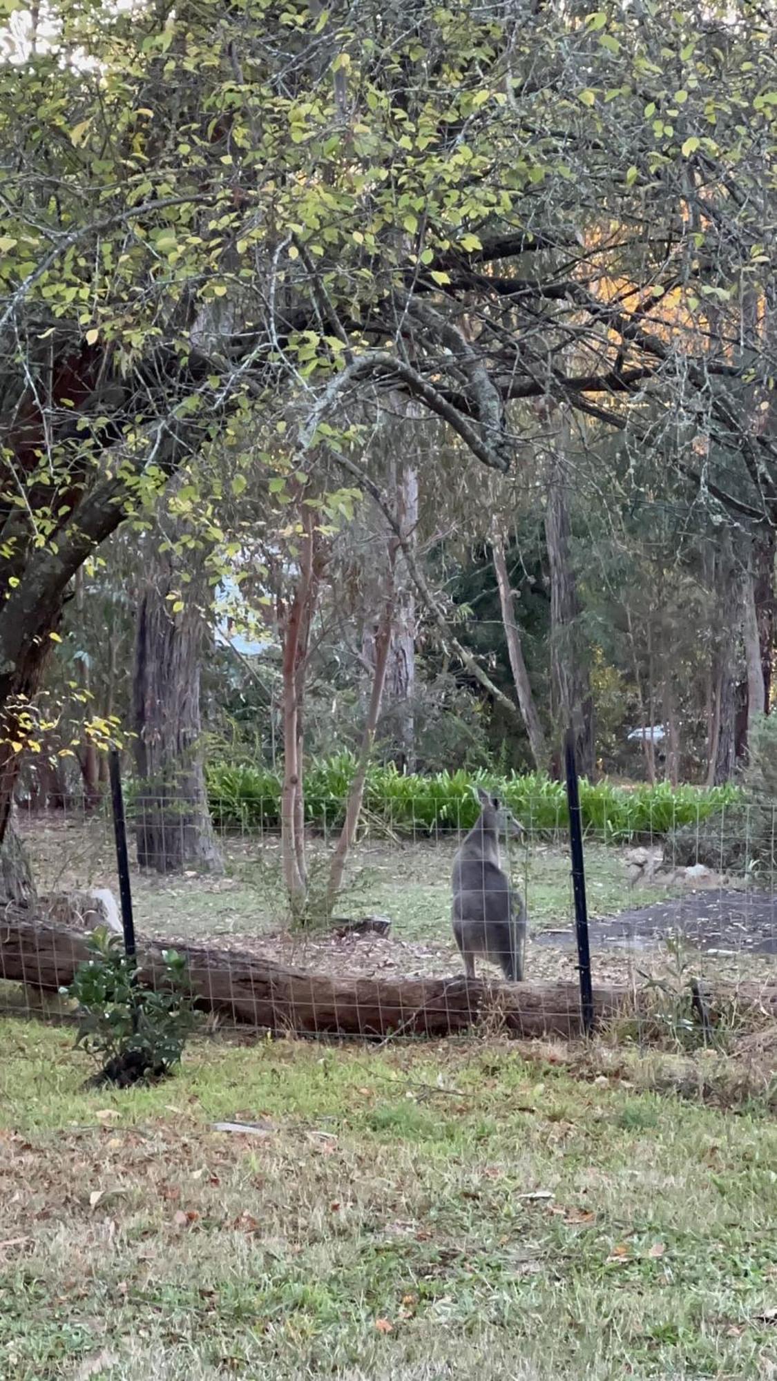Kookaburra Retreat *