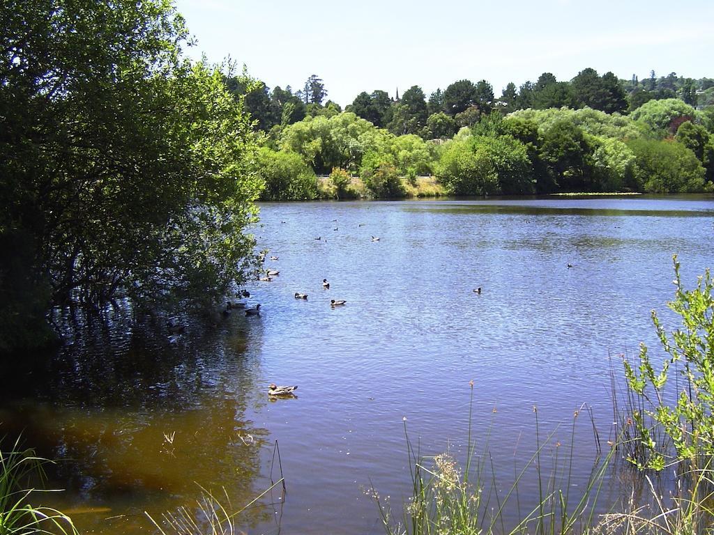 Lakeside Studio * Daylesford