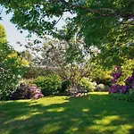 The Acorn