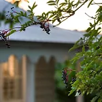 Kings Cottage