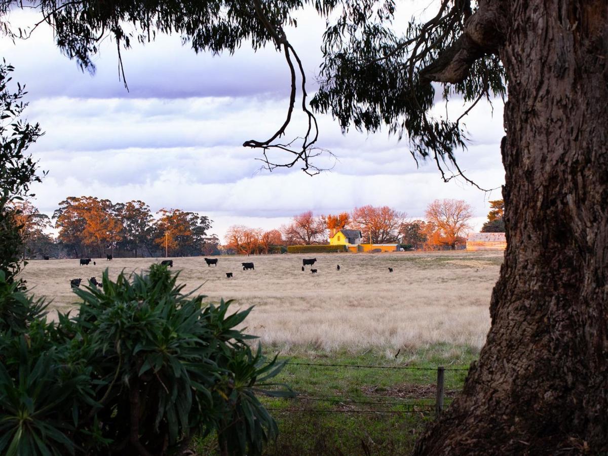 Manna Gums Holiday home Daylesford