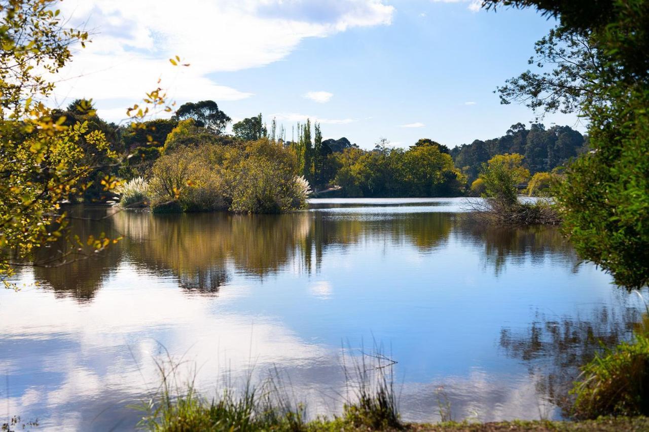 Vue * Daylesford