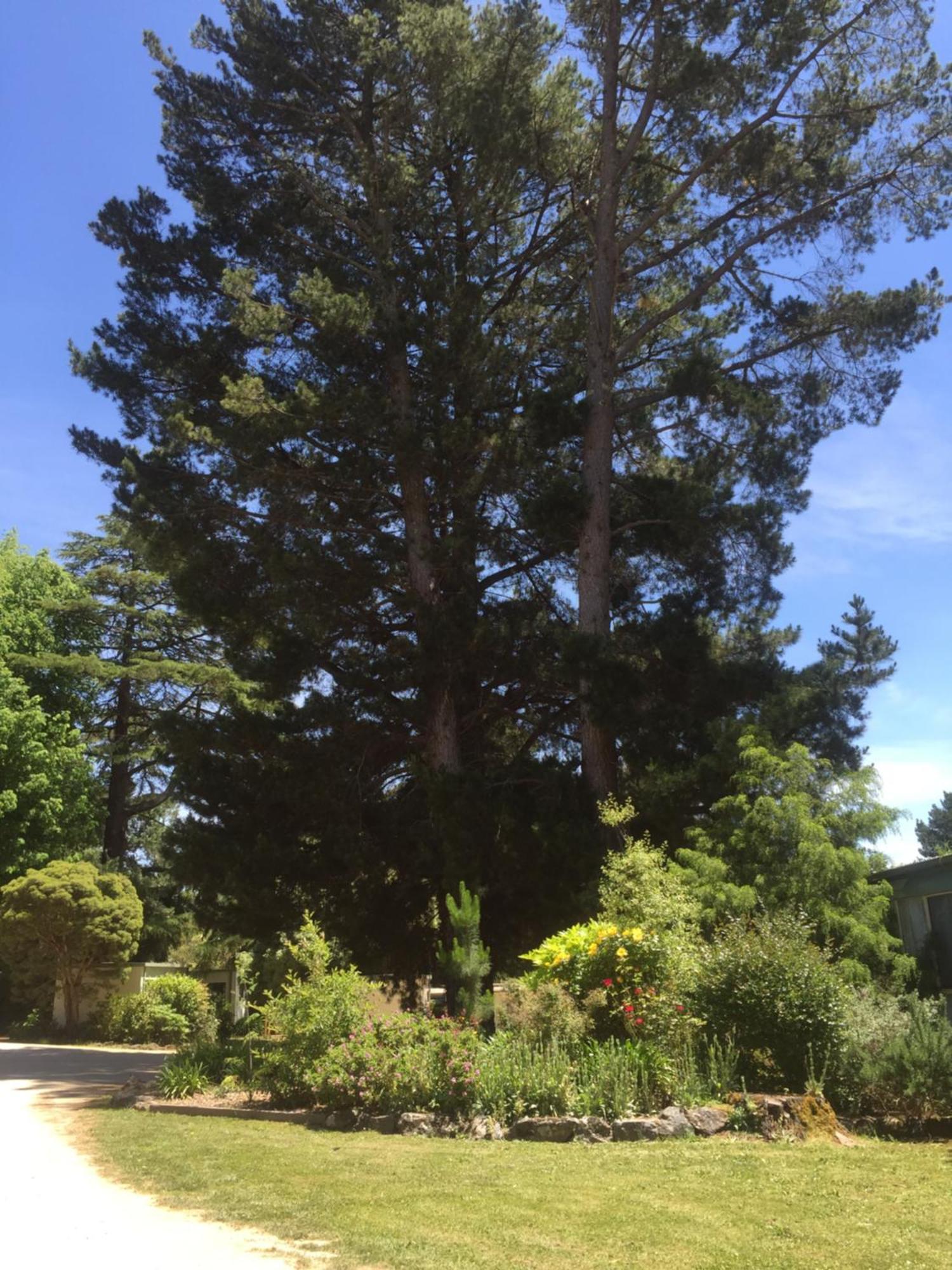 Holiday park Daylesford Holiday Park Daylesford